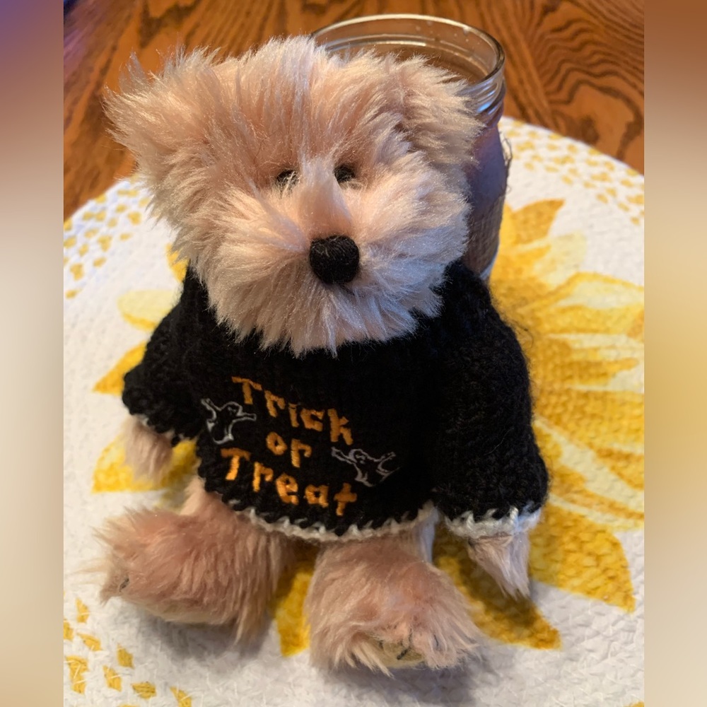 Halloween Trick or Treat Bear
